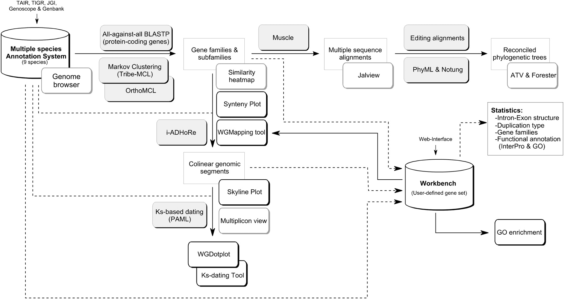 PLAZA build workflow