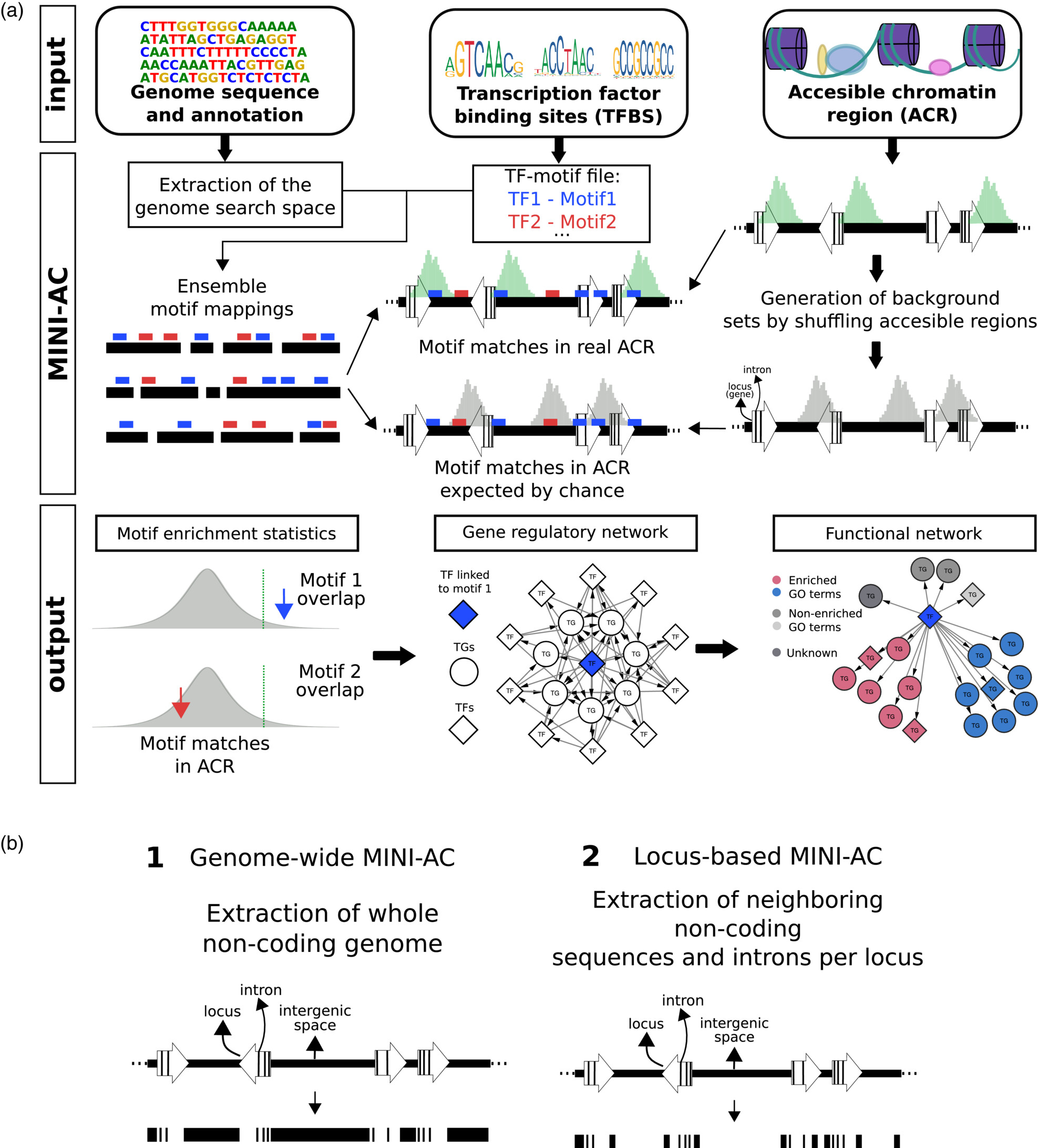 Regulatory genomics