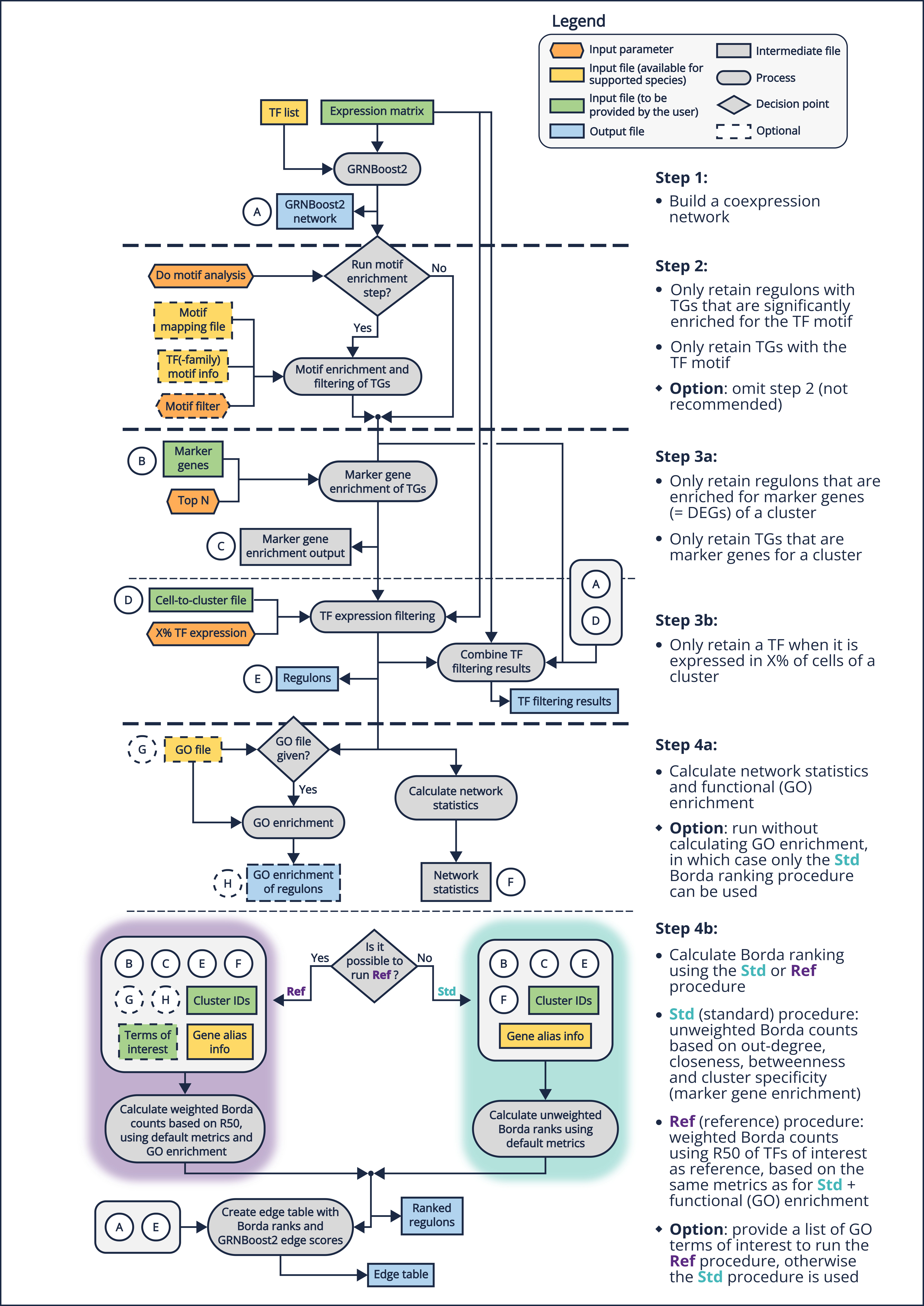 single-cell Gene Regulatory Network