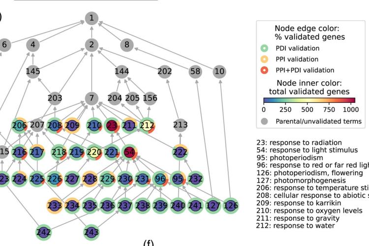 Gene function analysis