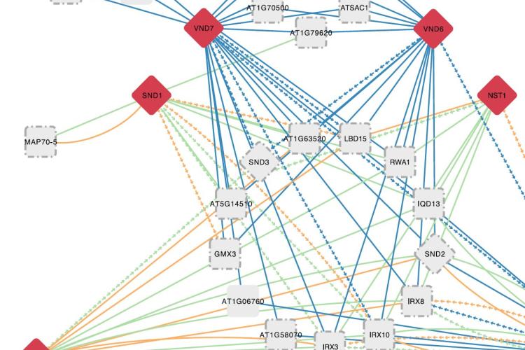 Regulatory Networks